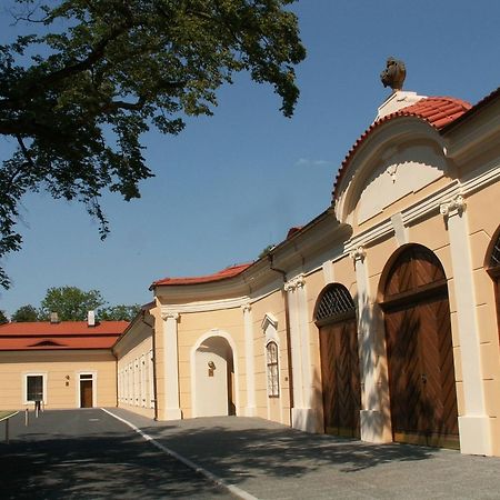 Chateau Liblice Bysice Exterior photo